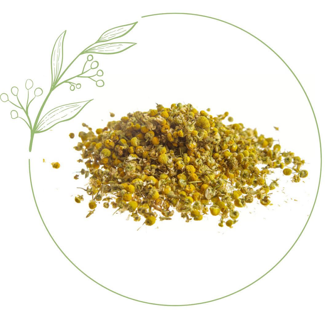 camomilla fiori taglio tisana