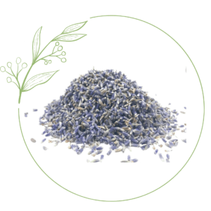 lavanda-fiori-tisana-erboristeria-rilassante