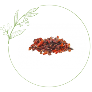 rosa canina vitamina c
